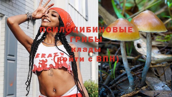 скорость Щучье