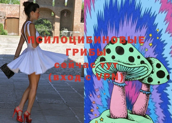 скорость Щучье