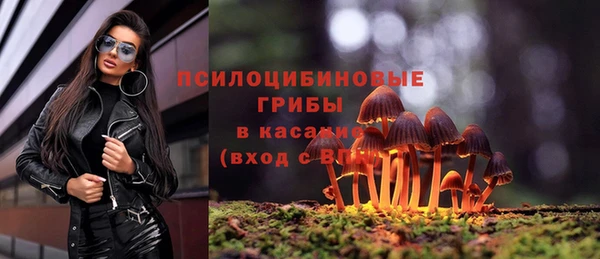 скорость Щучье
