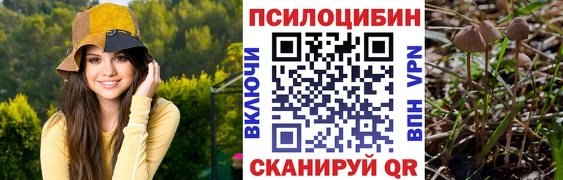 Купить где  Адыгейск  Псилоцибиновые грибы прущие грибы 