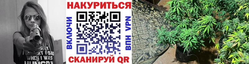 Бошки марихуана AK-47 Купить закладки Адыгейск